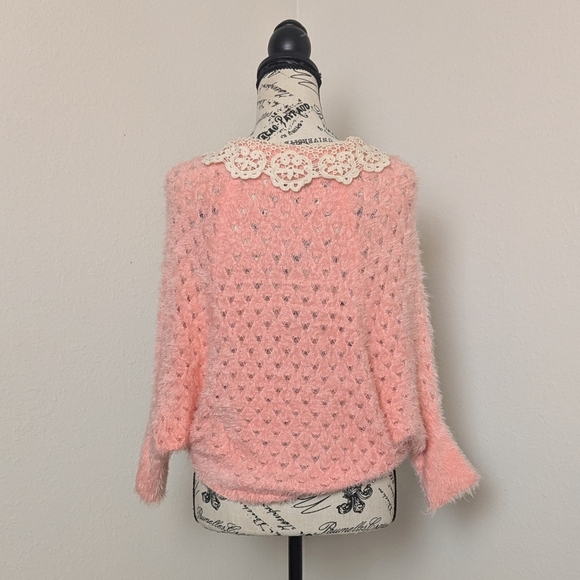 Crochet Lace Collar Sweater - Picture 6 of 6